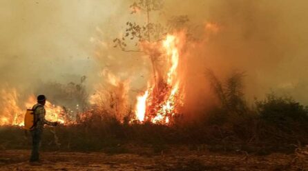 Comunidades y sectores afectados por los incendios exigen abrogar leyes que fomentan quemas