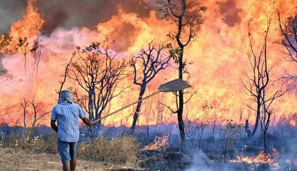 “No podemos mirar de palco”, hay más pedidos para una declaratoria de desastre nacional por la magnitud del fuego