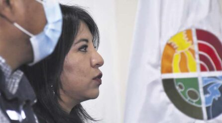 Exdefensora se va del Gobierno porque le pidieron realizar tareas políticas