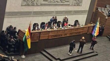 Distribución de comisiones en Diputados relega a comités a evistas, entre ellos Jerges Mercado