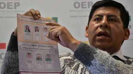 Vocal revela que la CIDH rechazó las medidas cautelares solicitadas por el TSE