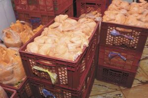 Minoristas de La Paz reciben 5.000 pollos congelados