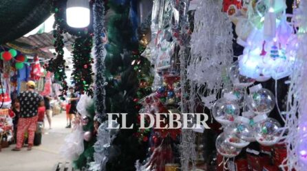 Disponen horario continuo para el 24 y 31 de diciembre en las instituciones públicas