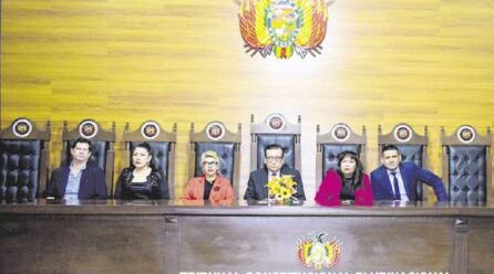 Elecciones judiciales: TCP apunta al Legislativo por proceso previo y se quejará ante la CIDH
