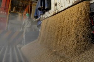 El agro nacional alerta sobre el deterioro constante de la economía de las familias bolivianas