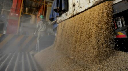 El agro nacional alerta sobre el deterioro constante de la economía de las familias bolivianas