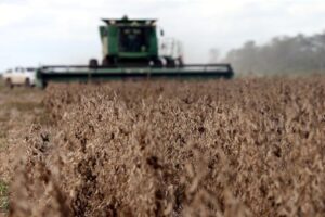 Interculturales de San Julián exigen reapertura de exportaciones de soya y pago en dólares