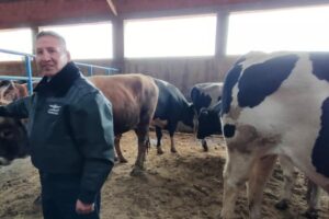 Autoridades decomisan 10.000 kilos de carne y ganaderos expresan su preocupación por aumento del contrabando