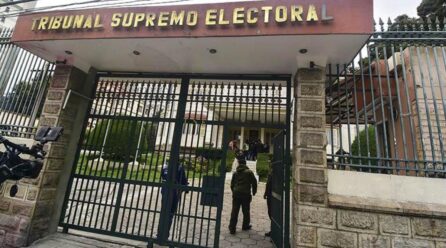 Periodistas denuncian inscripciones ilegales en partidos y piden al TSE tomar acciones