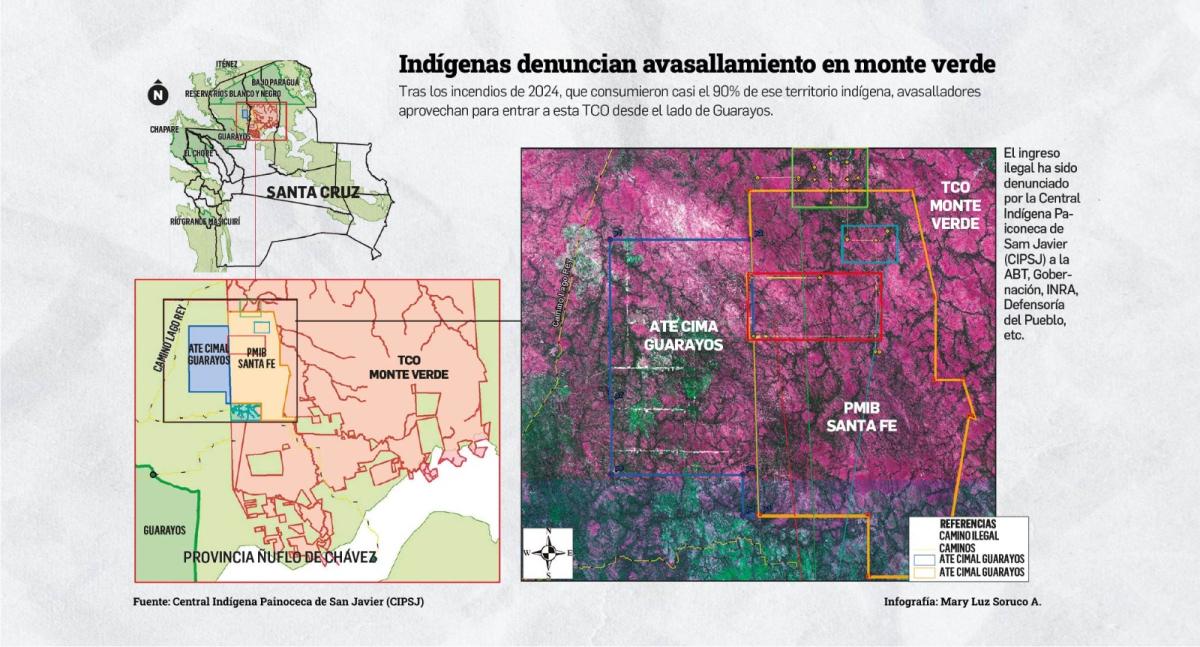 Avasallan Monte Verde luego de quemar más del 80% de su superficie