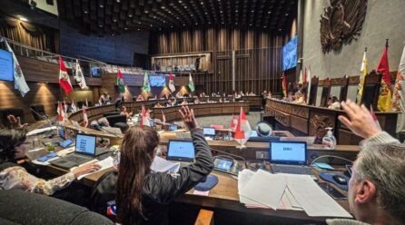 Senado aprueba el proyecto de Ley para la protección de la integridad sexual de niñas, niños y adolescentes