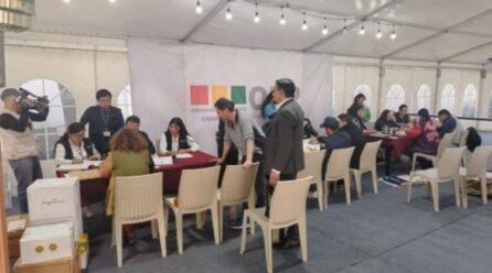 De 350 postulantes, cada organización política debe registrar al menos el 80% de candidatos al Legislativo