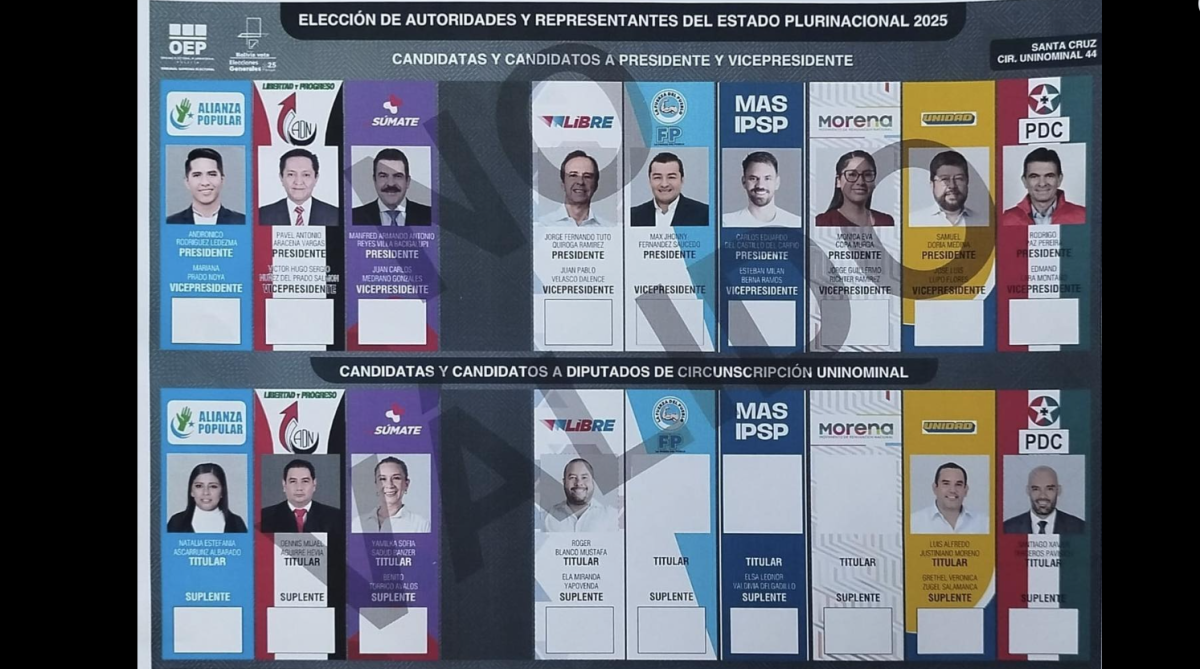 Elecciones 2025: Una franja gris ocupará el lugar de NGP en la papeleta electoral
